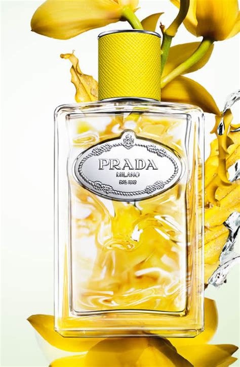 profumi prada infusion|prada beauty infusion d'ylang.